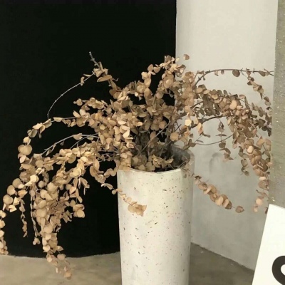 Furry插画细节提升干货兽圈社群